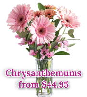 Chrysanthemums