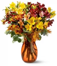 Alstroemeria Brights